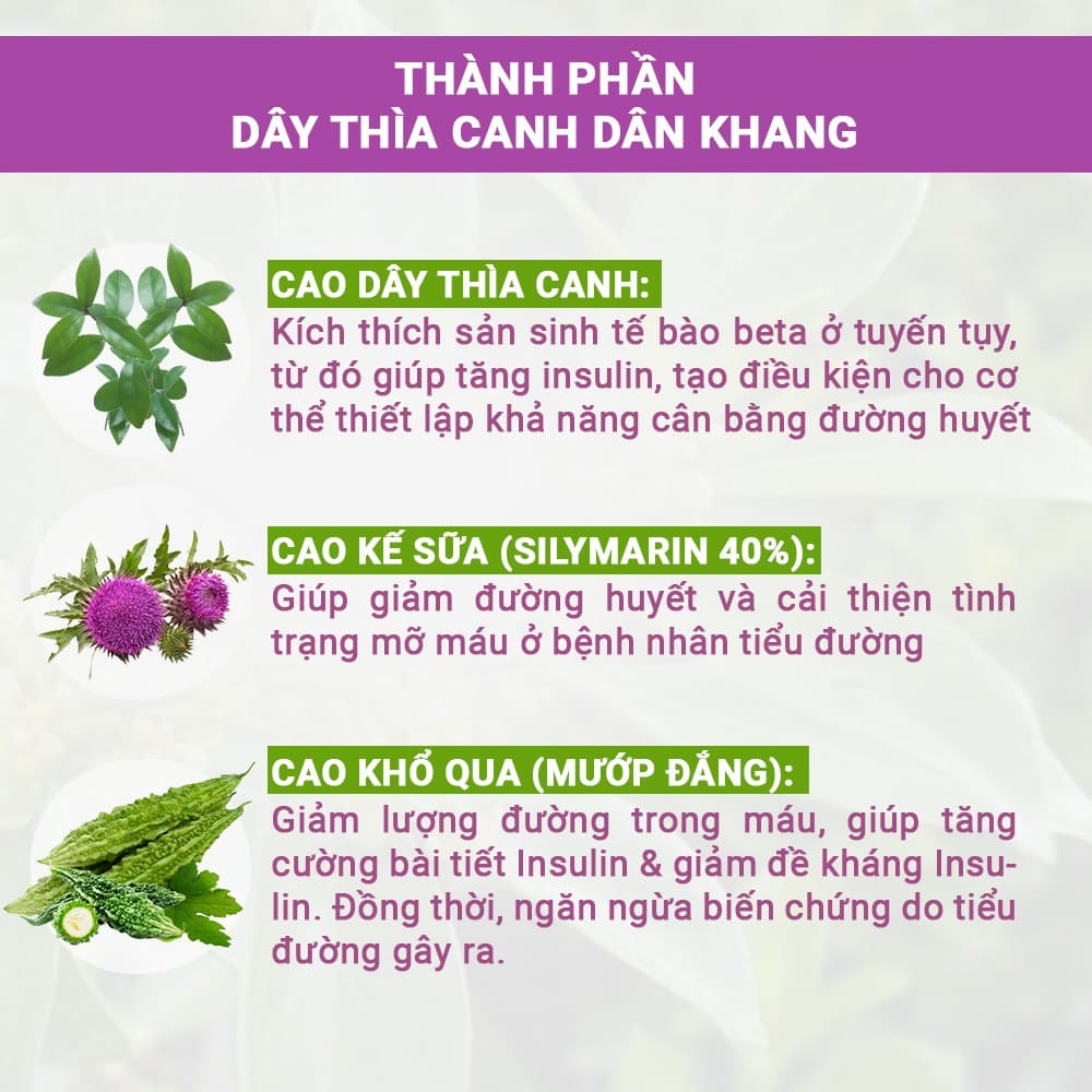Dây thìa canh Dân Khang - Hỗ trợ giảm đường huyết - Ảnh 2