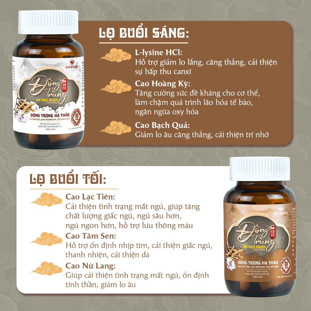 Đông Trùng Ăn Ngủ Ngon Dân Khang - Ảnh 5