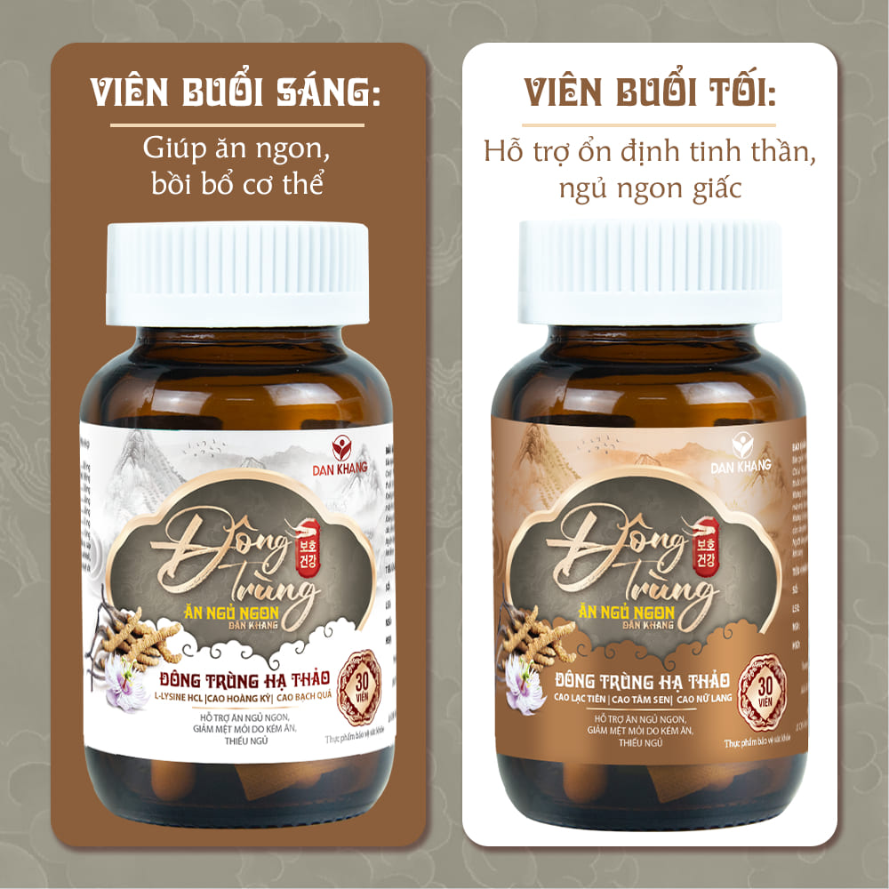 Đông Trùng Ăn Ngủ Ngon Dân Khang - Ảnh 2