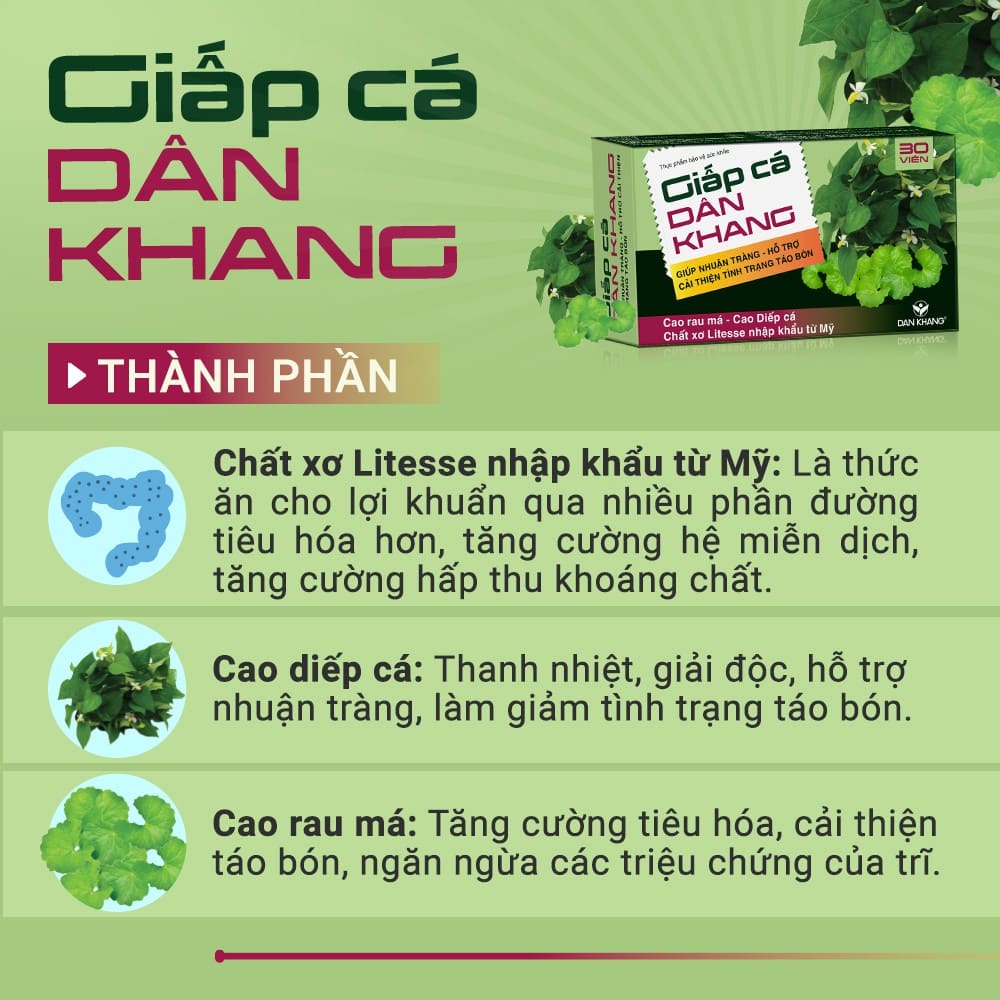 Giấp cá Dân Khang - Hỗ trợ nhuận tràng, tăng cường tiêu hóa - Ảnh 2