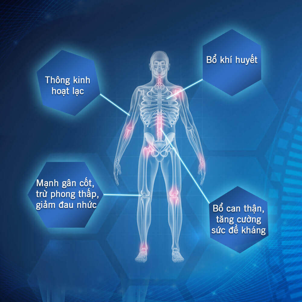 Xương Khớp Dân Khang - Hỗ trợ giảm đau, ngừa phong khớp - Ảnh 2