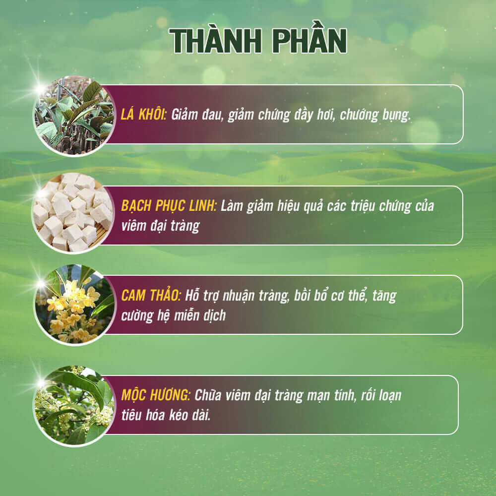 Đại Tràng Dân Khang - Hỗ trợ giảm triệu chứng viêm đại tràng - Ảnh 3