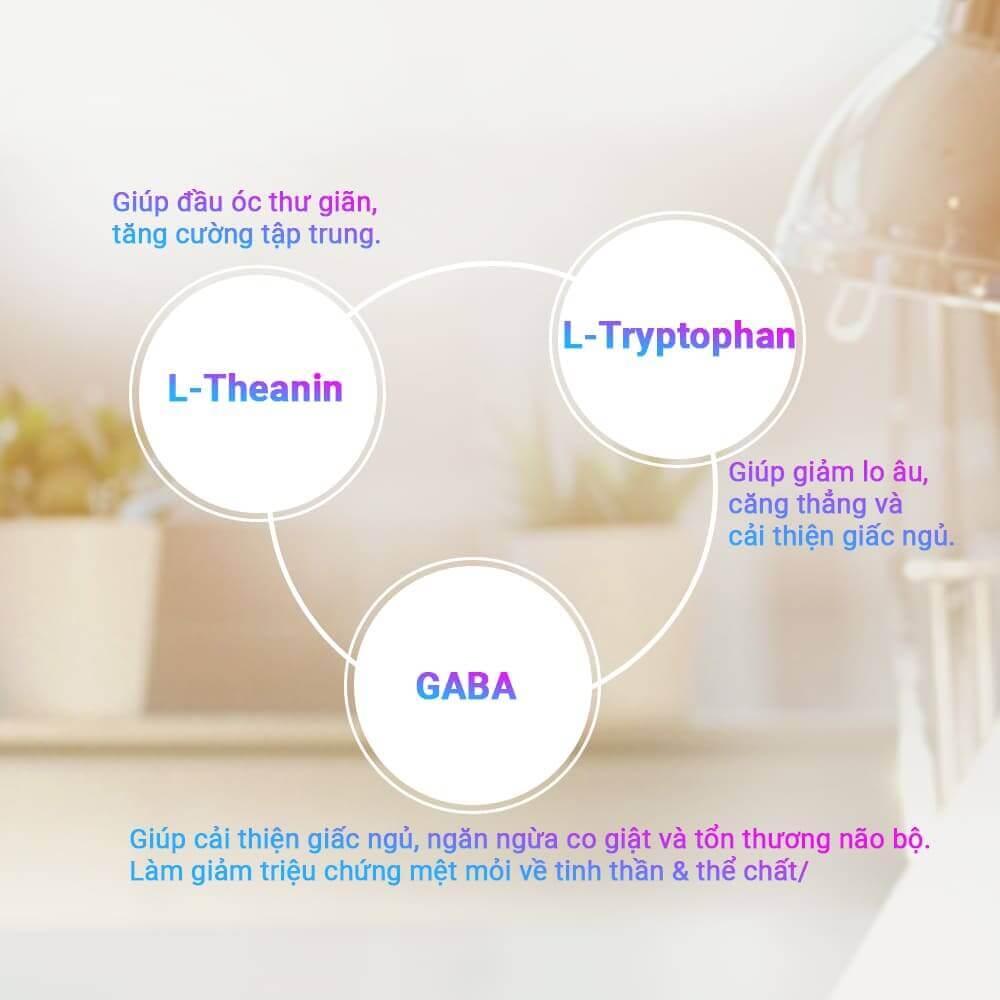 Fostress -Hỗ trợ giảm lo âu và căng thẳng mệt mỏi - Ảnh 4