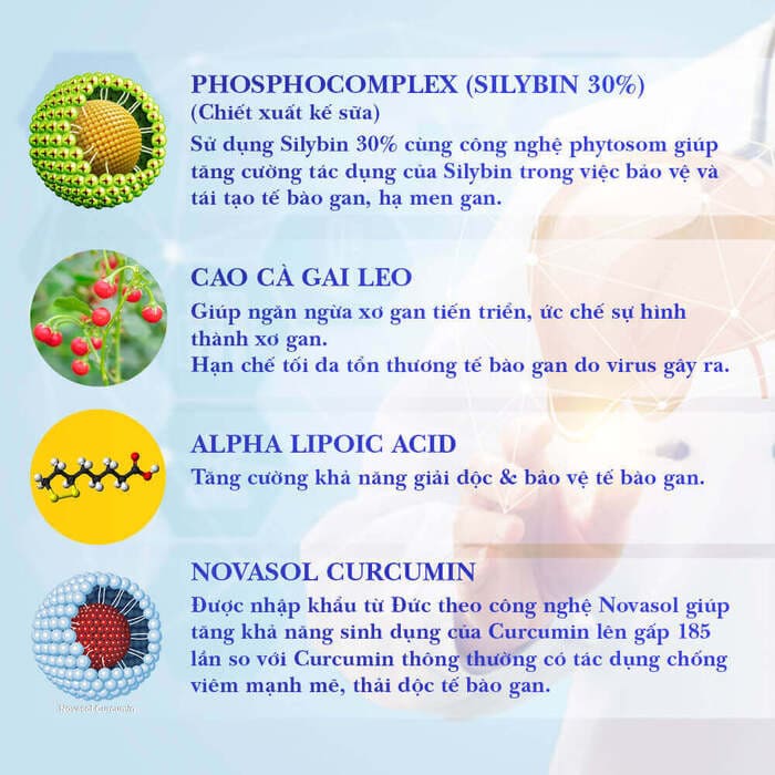 GoldLiver - Hỗ trợ hạ men gan, tăng cường chức năng gan - Ảnh 3